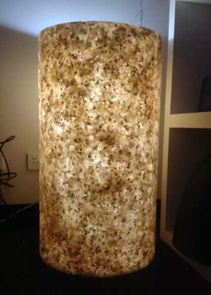 Senso Coral Table Lamp